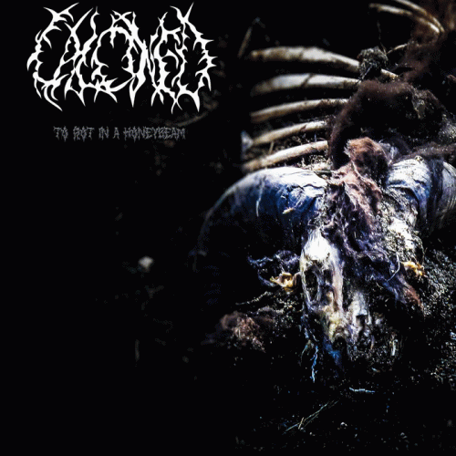 Calcined : To Rot in a Honeybeam